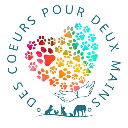 Logo du partenaire